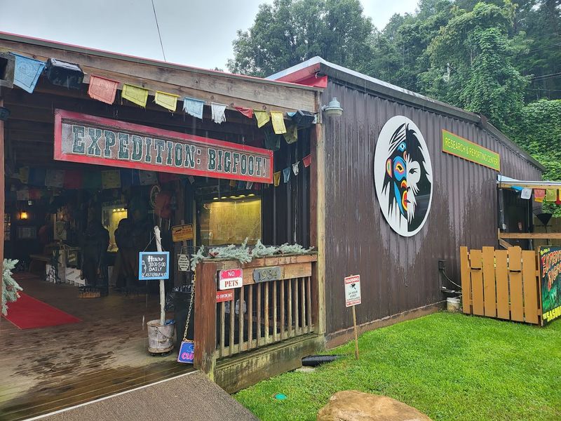 The Concept Behind The Museum