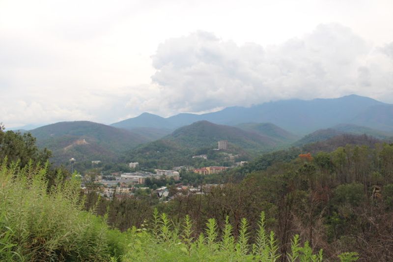 The Peaceful Side Of The Smokies