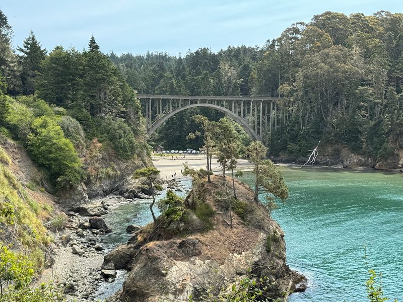 Where The Forest Meets The Sea