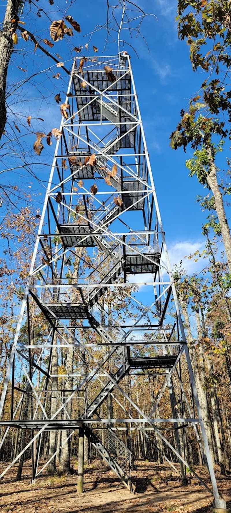 Climb The Fire Tower For The Park’s Top Vistas
