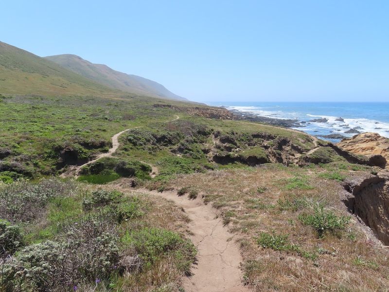 Camping And Stargazing Near Cayucos