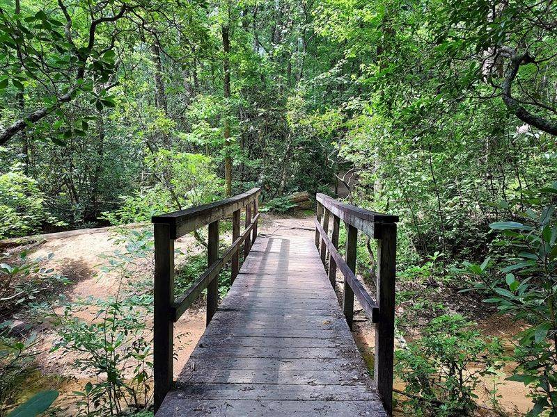 Why Locals Keep Coming Back