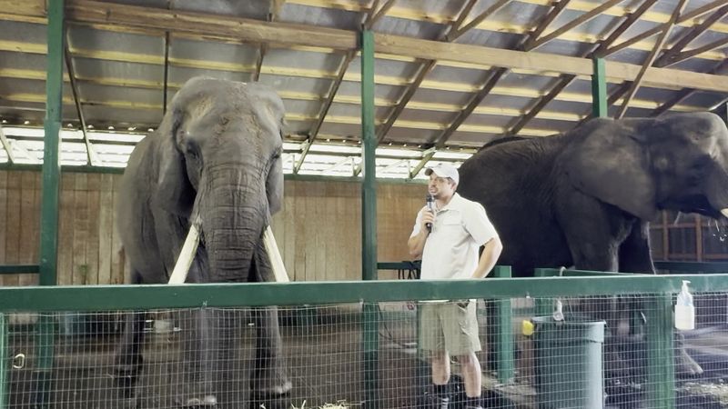 Perfect For Special Occasions