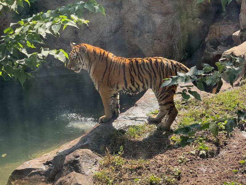 Why People Keep Coming Back Year After Year