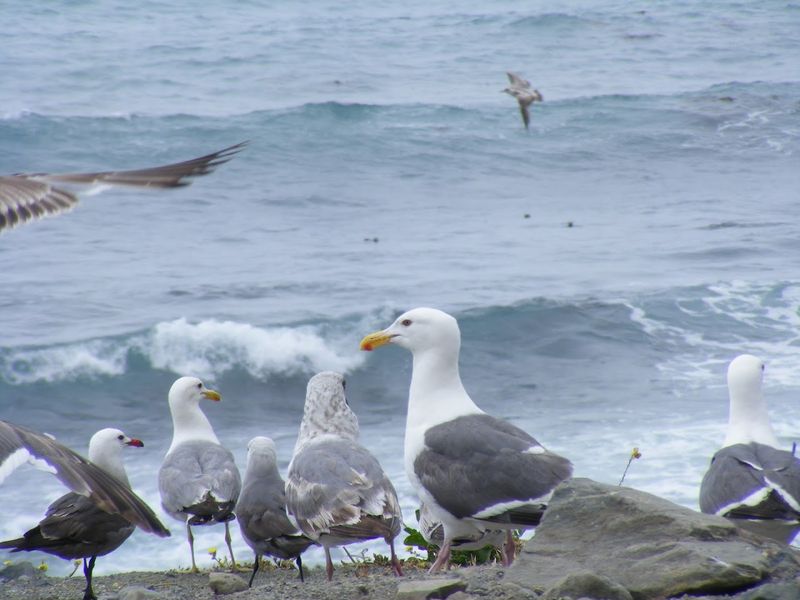 Nearby Attractions And Amenities Worth Exploring