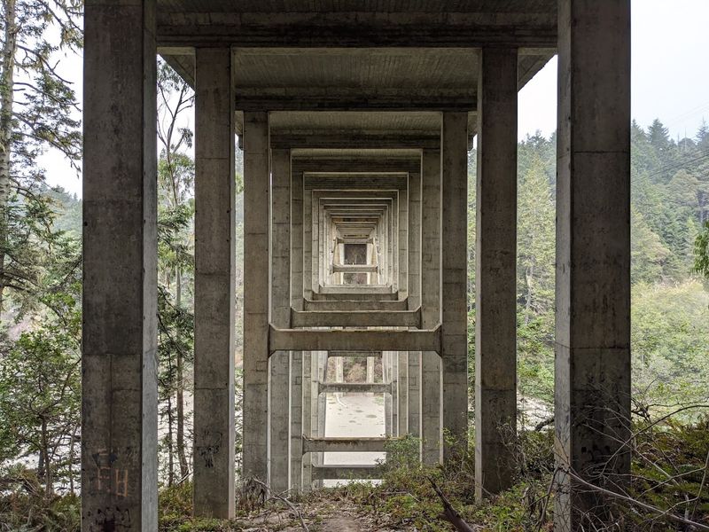 Planning A Visit To Russian Gulch