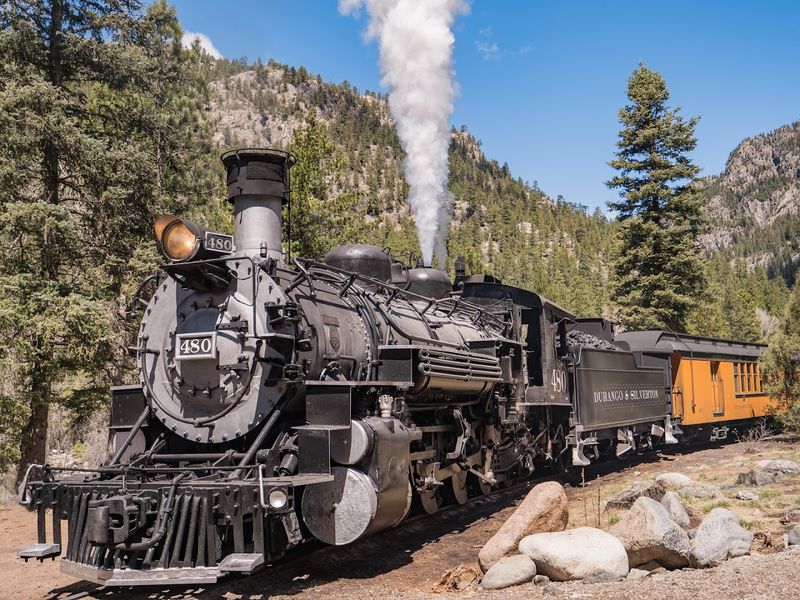 How To Capture Every Magical Moment On Camera