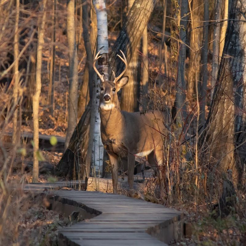 Getting There Without Getting Lost