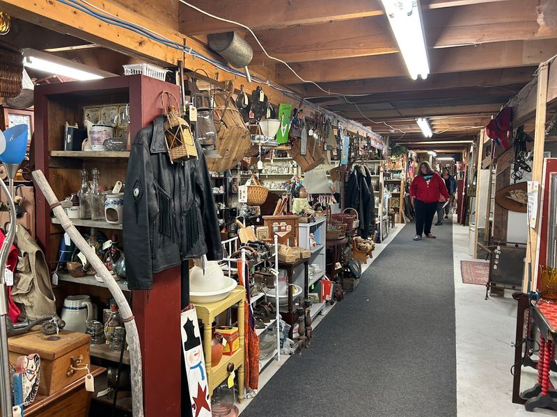 The Joy Of Finding Something You Were Not Looking For