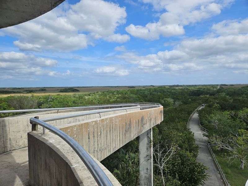 The Flat Terrain That Makes Every Rider Feel Like A Pro