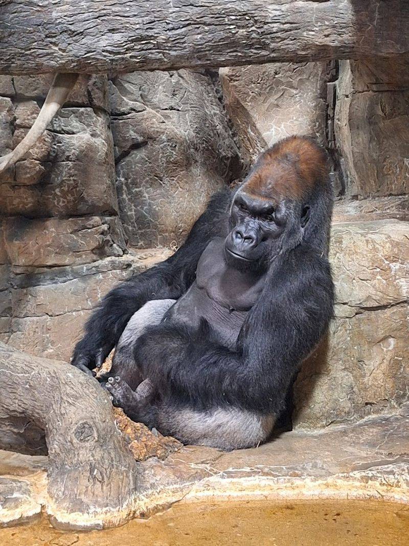 Animals That Will Absolutely Stop You In Your Tracks