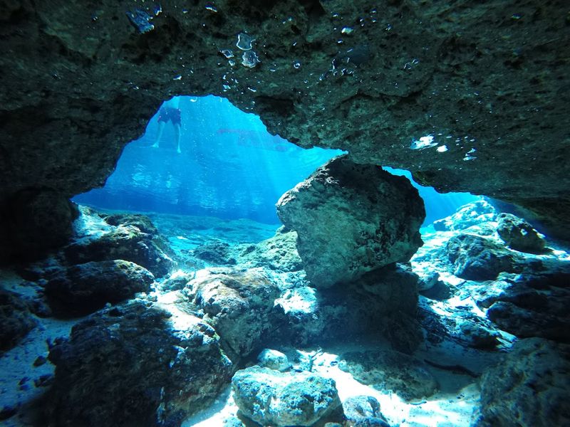 Scuba Diving Here Offers More Than A Typical Spring Visit