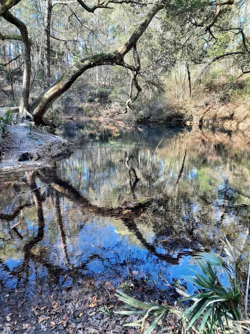 Wet Sinkholes And Their Brilliant Blue Water