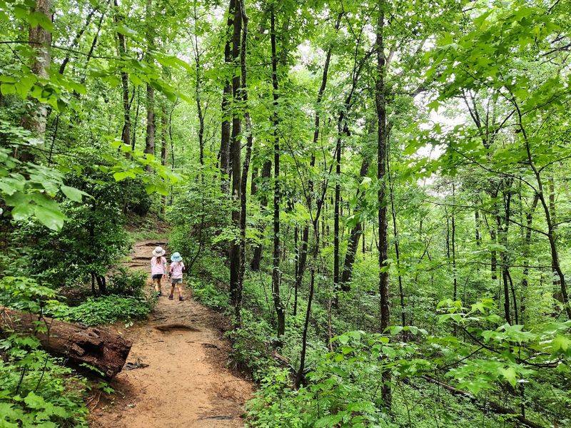 Trail Difficulty And What To Expect