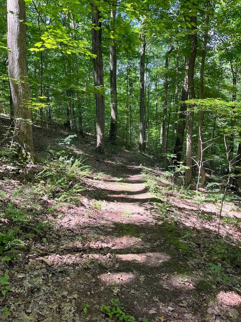 13 Miles Of Trails With More To See Than You Expect