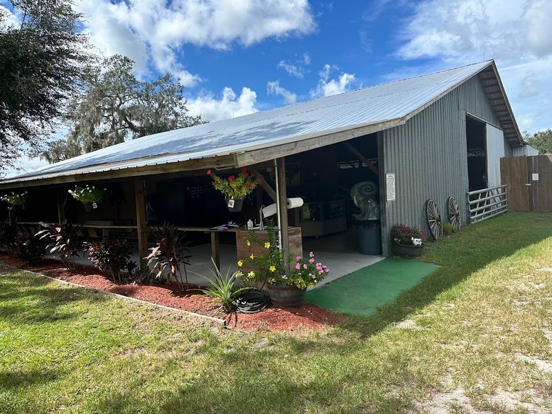 Tips For First-Time Visitors