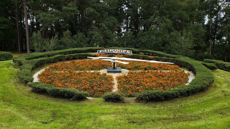 Mild Weather And Outdoor Beauty