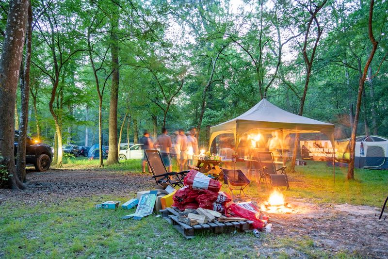 Why Timing Can Change The Whole Visit