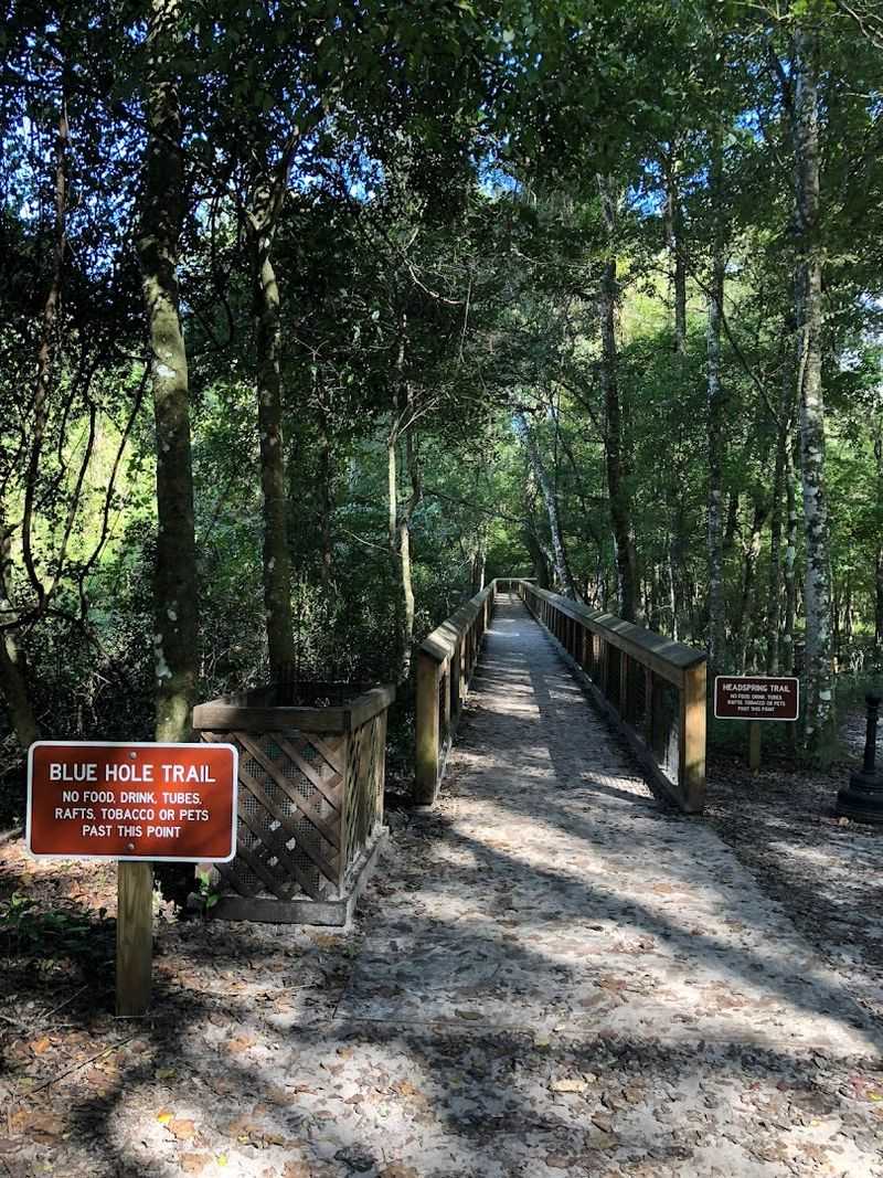 A Family Day That Still Feels Peaceful