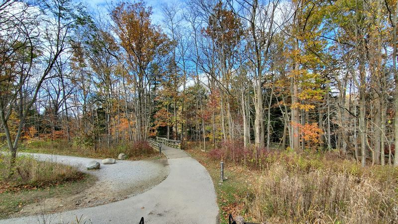 The Best Times To Visit And What To Bring