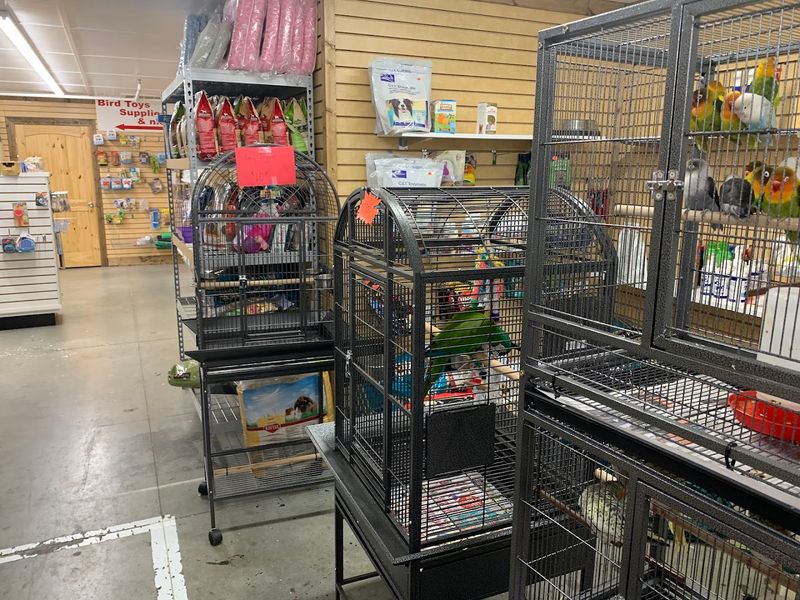 Animals, Pets, And A Petting Zoo Experience