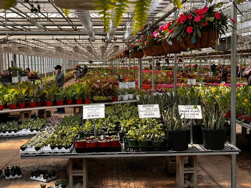 Why People Keep Coming Back Season After Season