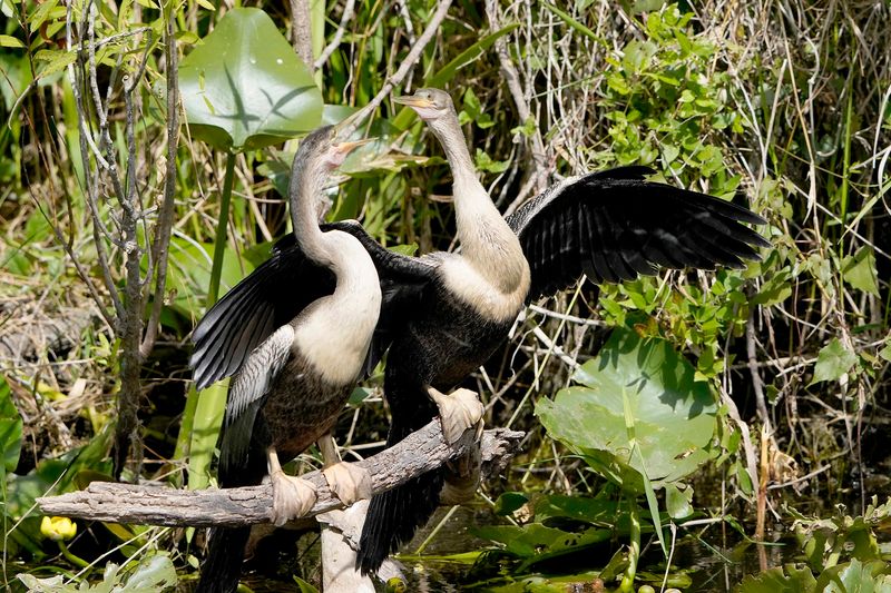 The Quiet Magic Of Riding Through A UNESCO World Heritage Site
