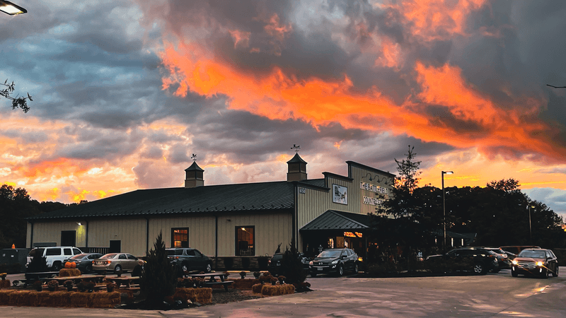 Practical Tips For Planning Your Visit