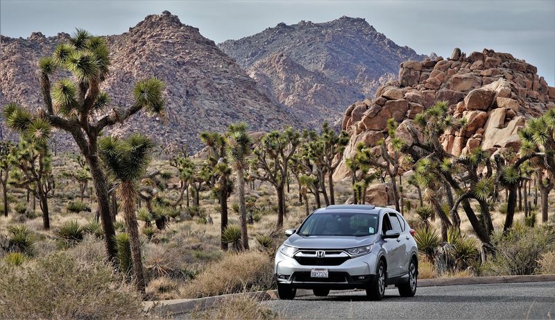 Why This One-Mile Loop Stays With Visitors Long After They Leave