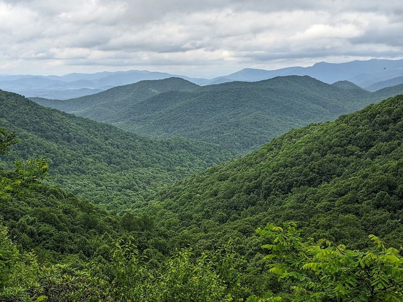 What Lives In These Mountains