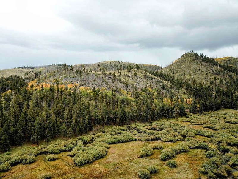 Fall Colors That Rival New England