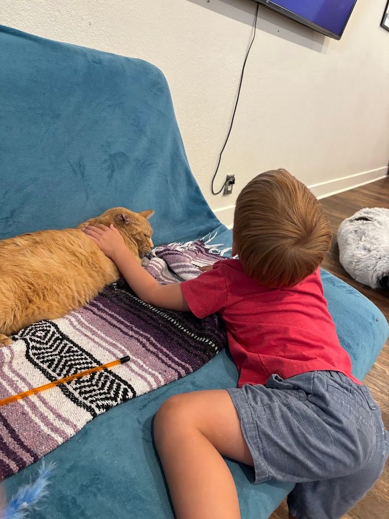 Supporting Local Rescues