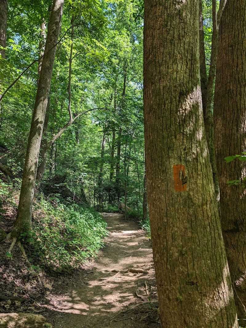 What You Will See Along The Way