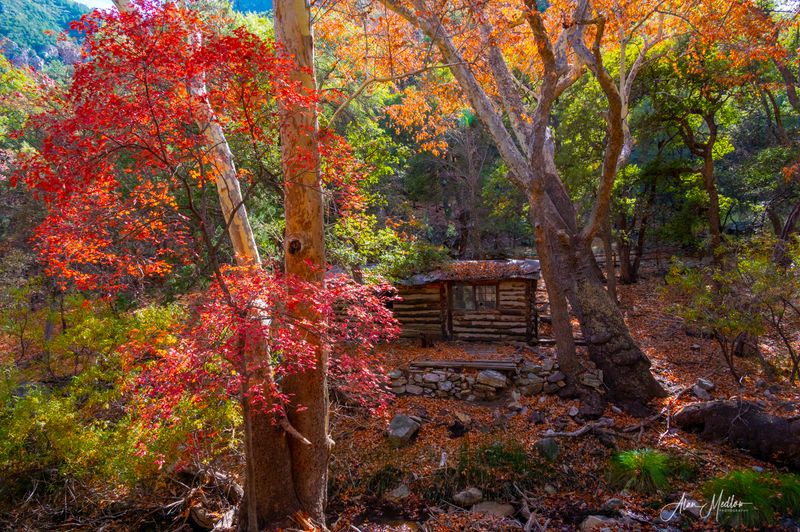 How The Town Earned The Hummingbird Capital Title