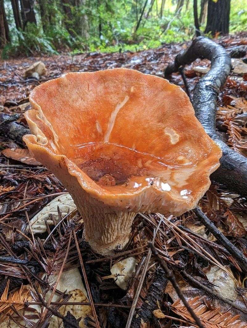 The Peaceful Details That Make This Place So Hard To Forget