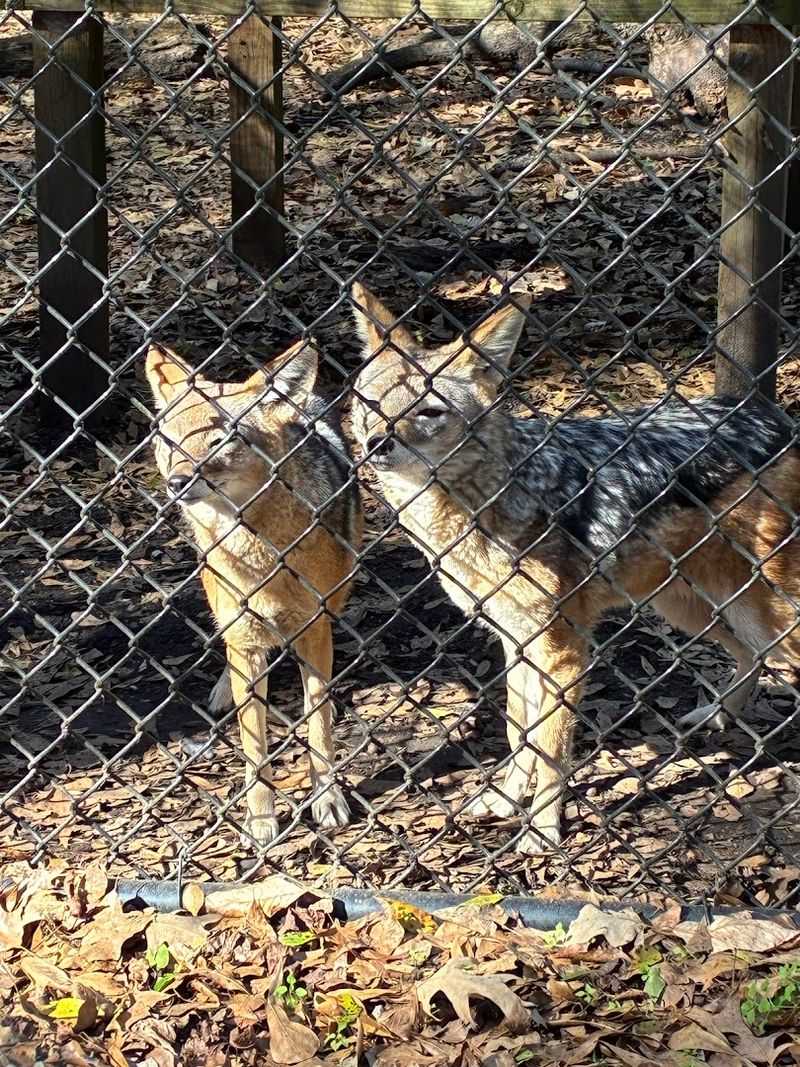 My First Visit And What I Didn't Expect