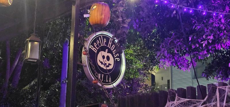 The Location On Hollywood Boulevard And What Surrounds It