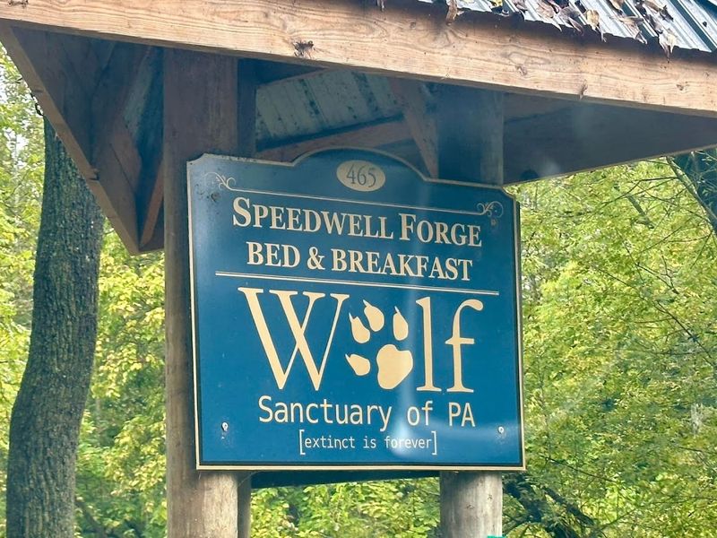 Supporting The Sanctuary And Its Mission