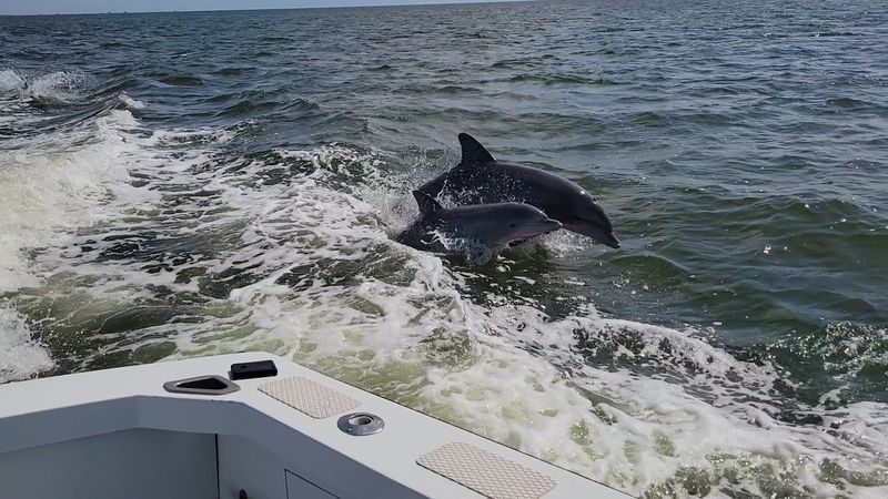 The Road Less Traveled That Rewards Every Mile