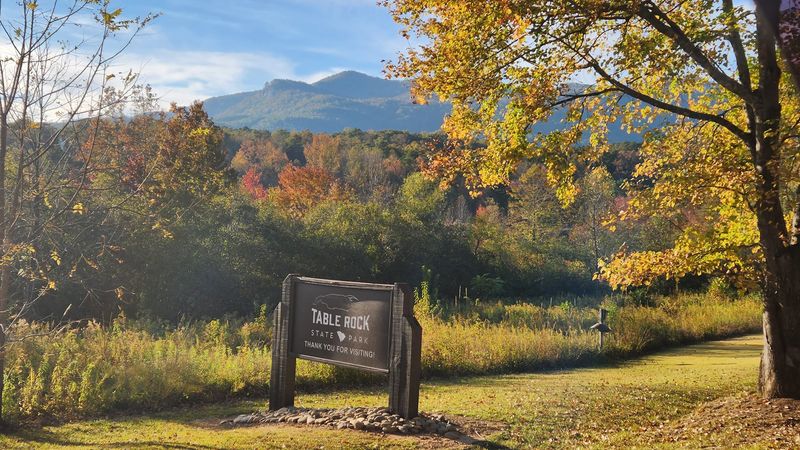 Picnic Spots Perfect For Storybook Moments