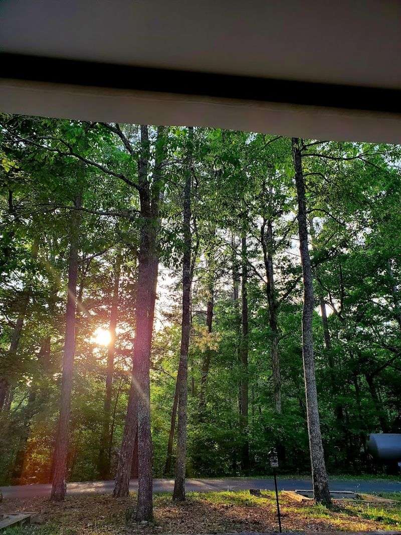 Seasonal Highlights And Best Times To Visit