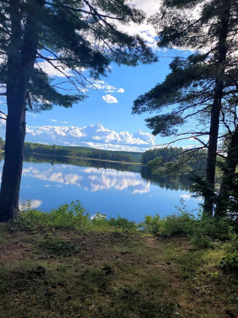 The Community Around Deer Lake