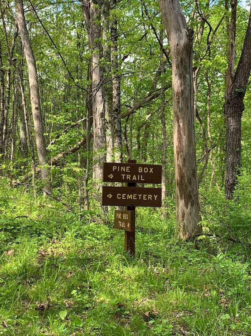 Practical Tips To Make Your Visit Go Smoothly