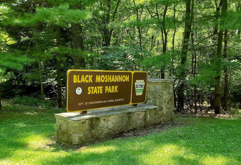 The History Behind The Park And The Region