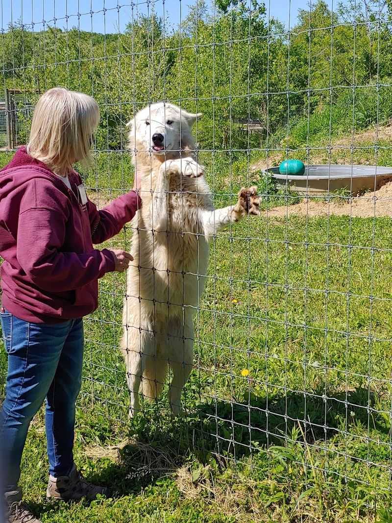 The Natural Setting That Makes It Special