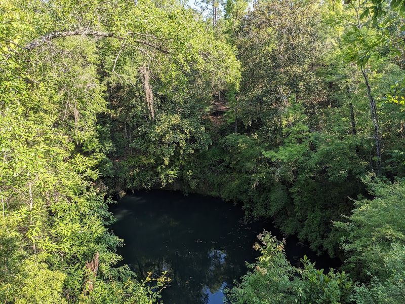 The Sinkhole Trail Is Florida's Most Unexpected Hike