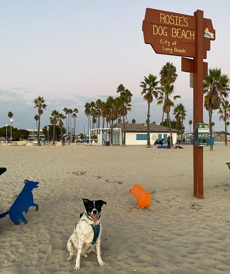Rosie's Dog Beach