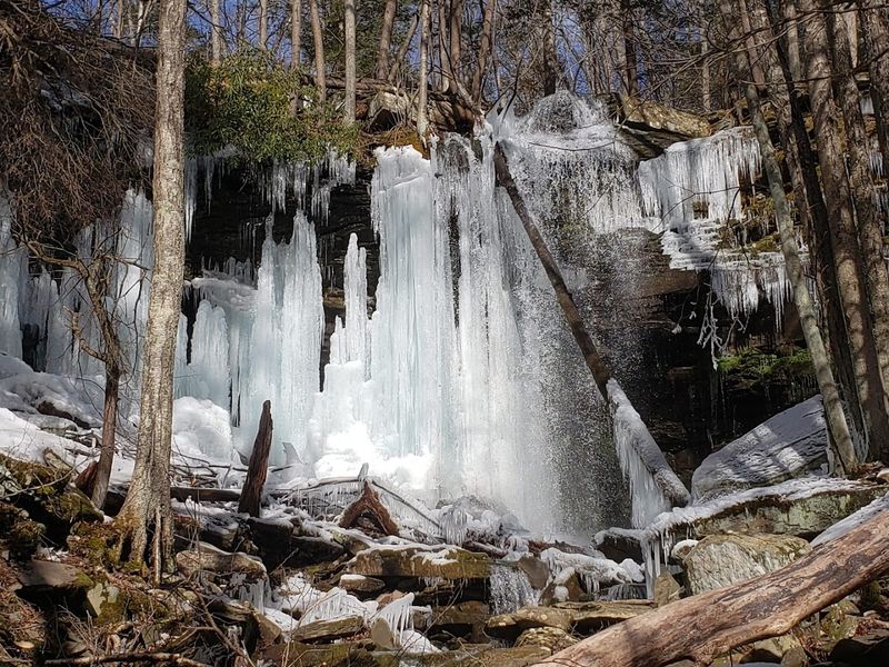 The Best Time Of Year To Make The Trip