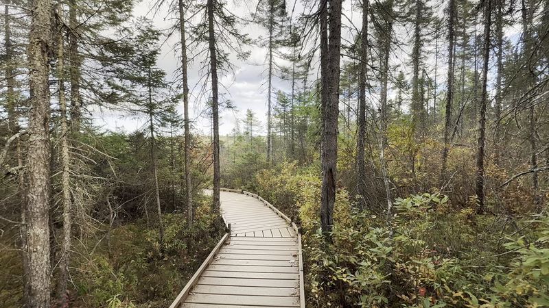 The Boardwalk Itself, A Marvel Of Simple Engineering