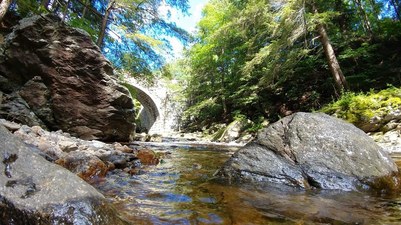 The Gorge That Drops Below Your Feet